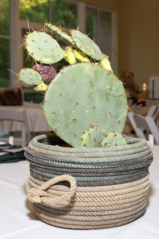 cactus centerpiece